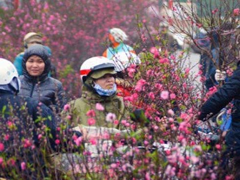 Dự báo thời tiết 4/1, Hà Nội đón nắng ấm đến hết tuần-2