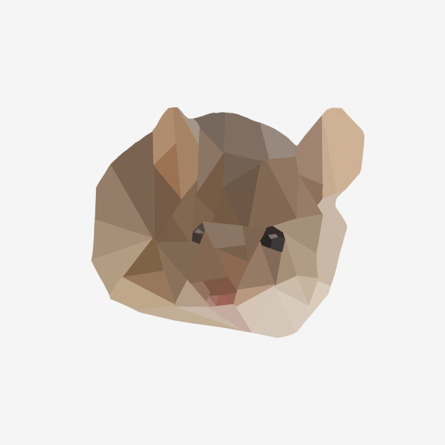 Tử vi năm Canh Tý 2020: Tuổi Tý có những khởi đầu mới tốt lành thịnh vượng và cuộc sống thăng hoa phát triển-3