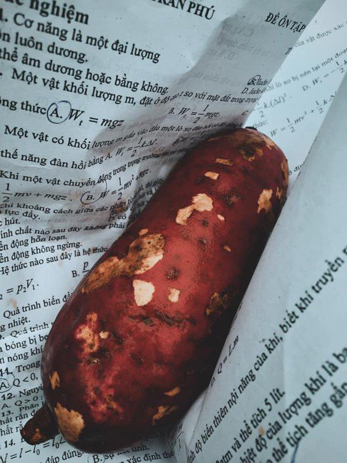 Gửi gắm kiến thức vào tập đề cương, tới khi lệch tủ nữ sinh tái sử dụng vào 1 việc khiến dân mạng phục sát đất-3