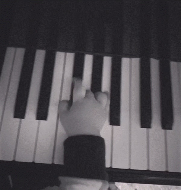 Tiết lộ thêm sở thích của con trai, Phạm Hương đang muốn con trở nên đa tài?-5