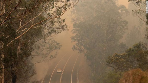 Gần NỬA TỈ sinh vật bị thiêu rụi, 1/3 số gấu koala chết cháy: Úc đang trải qua trận cháy rừng đại thảm họa thực sự mà chưa nhìn thấy lối thoát-2