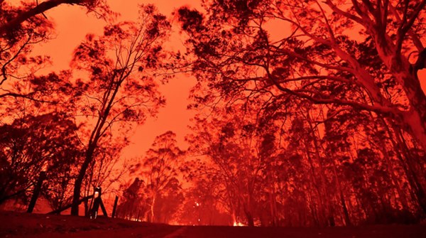 Gần NỬA TỈ sinh vật bị thiêu rụi, 1/3 số gấu koala chết cháy: Úc đang trải qua trận cháy rừng đại thảm họa thực sự mà chưa nhìn thấy lối thoát-6