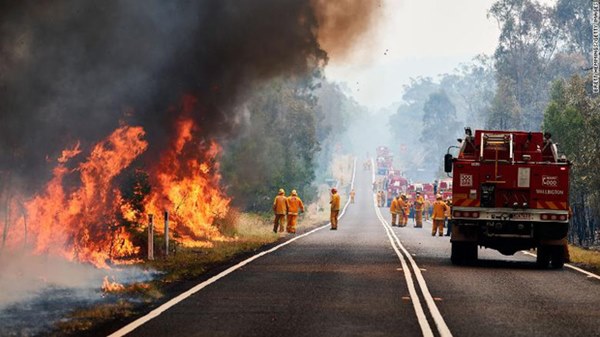 Gần NỬA TỈ sinh vật bị thiêu rụi, 1/3 số gấu koala chết cháy: Úc đang trải qua trận cháy rừng đại thảm họa thực sự mà chưa nhìn thấy lối thoát-16