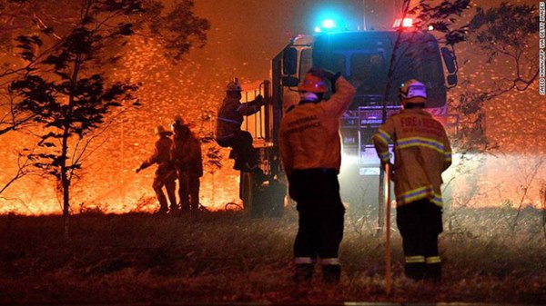 Gần NỬA TỈ sinh vật bị thiêu rụi, 1/3 số gấu koala chết cháy: Úc đang trải qua trận cháy rừng đại thảm họa thực sự mà chưa nhìn thấy lối thoát-17