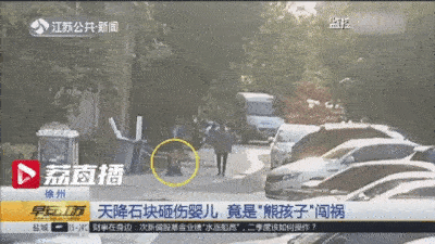 Đứa bé 3 tháng được bà ẵm đi dạo thì bị trái táo rơi trúng đầu rơi vào nguy kịch, danh tính thủ phạm khiến nhiều người bất ngờ-3