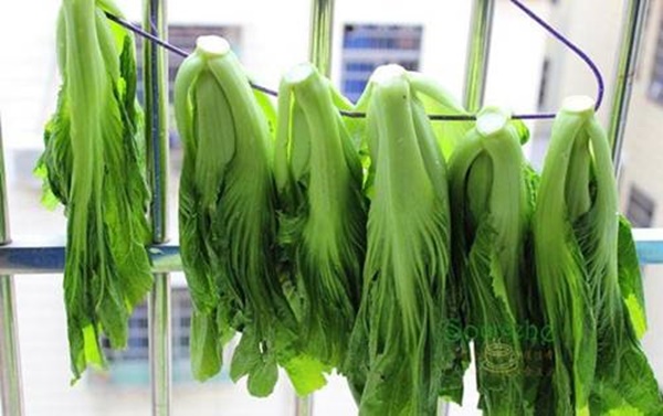 Mùa rau cải muối dưa chua theo cách này sẽ vàng ruộm thơm ngon, để lâu không lo khú hỏng-3