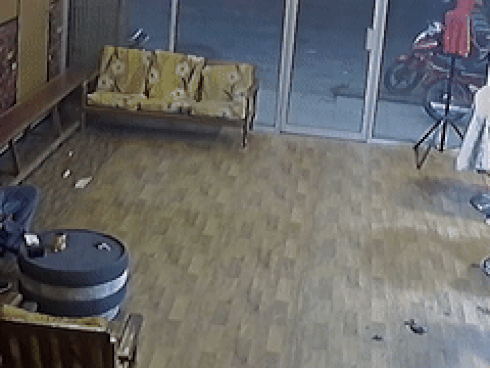Heo rừng bất ngờ lao vào tiệm cắt tóc