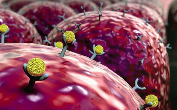 Những thứ tế bào ung thư sợ” nhất nhưng ai cũng vứt bỏ vì tưởng là rác”, biết sự thật hẳn mọi người sẽ hối tiếc vô cùng-1