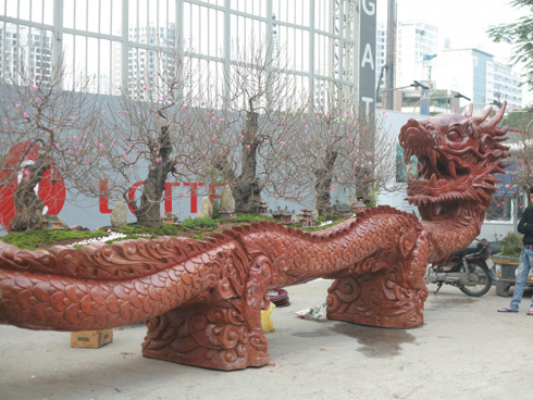 Cây khế 19 thân cực kỳ hiếm, khách trả hơn 300 triệu vẫn chưa bán-15