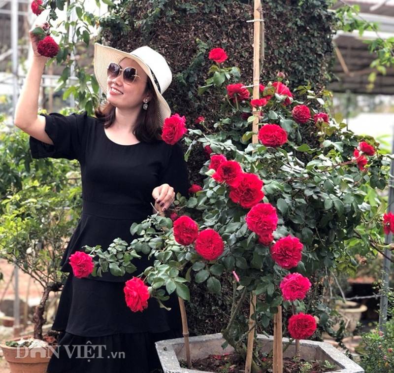 Đột nhập vườn bonsai hoa hồng bạc tỷ của ông chú điển trai-13