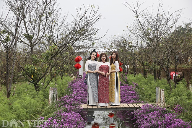 Giới trẻ Hà Nội rủ nhau check-in, chụp ảnh bên hoa đào ngày giáp Tết-10