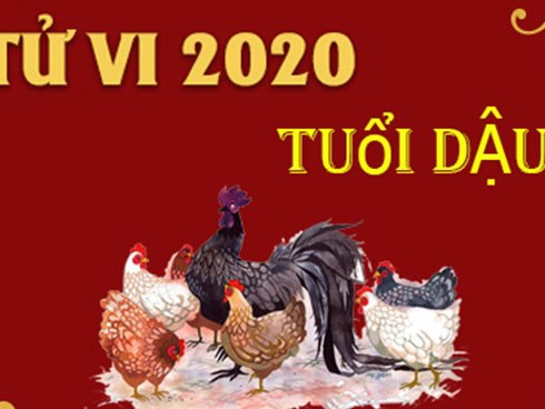 Tử vi tuổi Dậu năm 2020: Sự nghiệp thăng trầm, rủi ro rình rập, cẩn thận 'tiền mất tật mang'