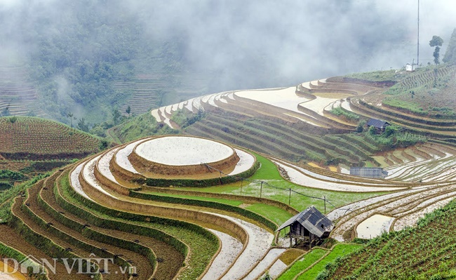 Vẻ đẹp nao lòng ruộng bậc thang vừa được công nhận di tích quốc gia-2