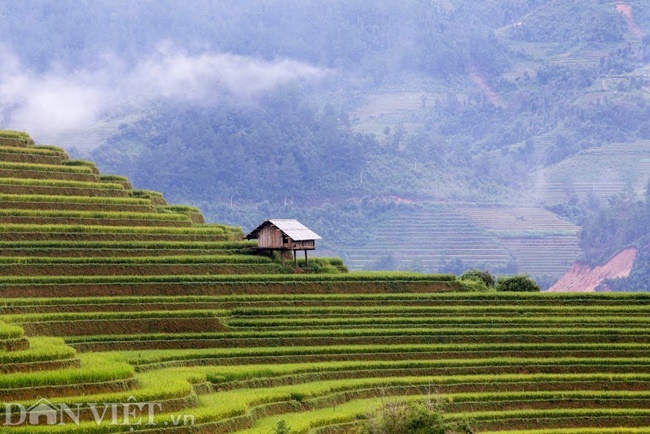 Vẻ đẹp nao lòng ruộng bậc thang vừa được công nhận di tích quốc gia-9