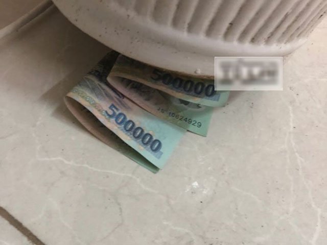 Lương chồng bỗng giảm từ ngày có cây phong thủy, vợ vô tình chạm vào thì ngỡ ngàng-2