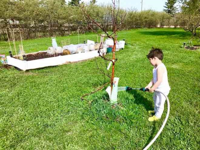 Mẹ 3 con chia sẻ kinh nghiệm dạy con làm việc nhà từ khi 2 tuổi-3