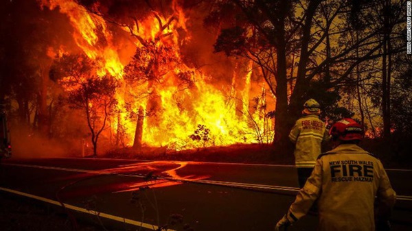 Thương quá tự nhiên ơi: Hình ảnh xót xa cho thấy đại thảm họa cháy rừng tại Úc đang khiến các loài vật bị giày vò kinh khủng đến mức nào-17