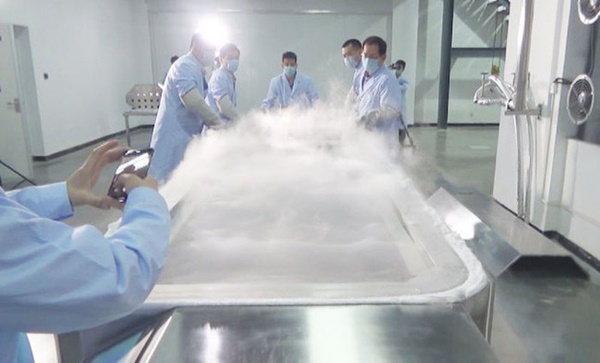 Người phụ nữ ung thư đóng băng cơ thể để hồi sinh, điều gì xảy ra sau 2 năm-3