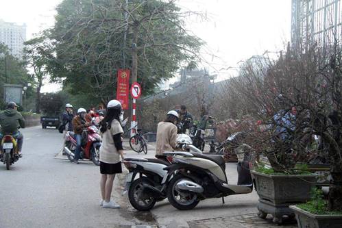 Đào rừng cổ giá cả triệu đồng rộn ràng khắp phố Hà Nội phục vụ Tết Nguyên đán-2