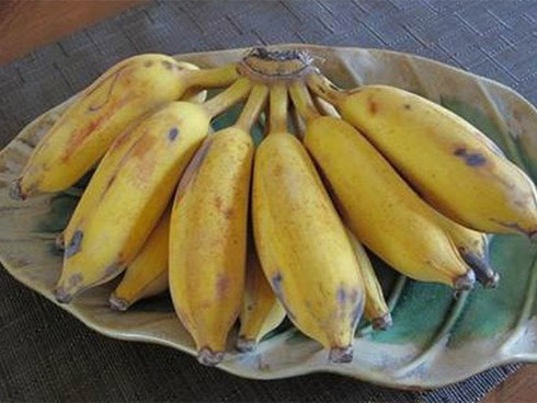 Những món quen thuộc cần phải