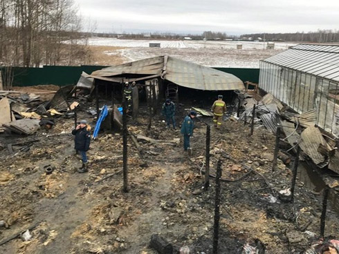 Để con gái nhỏ ở nhà một mình và nhờ hàng xóm trông hộ, người mẹ ra ngoài rồi trở về chứng kiến cảnh tượng khiến cô hối hận cả đời-3