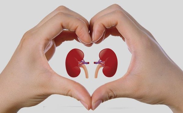 Đàn ông có nhiều lông ở 3 nơi, chứng tỏ thận khỏe mạnh-1