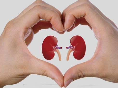 Dù là nam hay nữ, chỉ cần cơ thể có 3 bộ phận này luôn ấm thì chứng tỏ thận đang rất khỏe mạnh-6