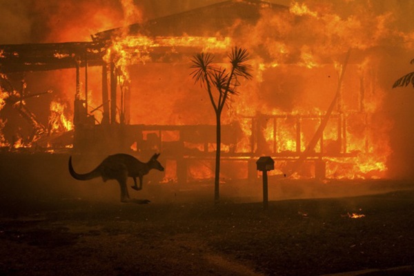 Úc bắt 183 kẻ tình nghi liên quan đến thảm họa cháy rừng, trong đó có 69 trẻ vị thành niên, đáng phẫn nộ nhiều kẻ còn tỏ ra phấn khích tội cùng khi nhìn thấy lửa-2