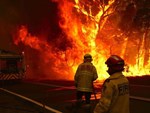Bé trai 19 tháng tuổi ngậm ti giả nhận huy chương thay người cha đã khuất, hy sinh trong thảm họa cháy rừng ở Úc-6