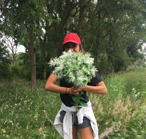 Đúng ngày cưới, cô dâu ngã ngửa khi biết bó hoa mới chính là thủ phạm khiến mắt mình bị mù tạm thời-1