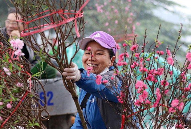 Miền Bắc có thể đón Tết ấm-1