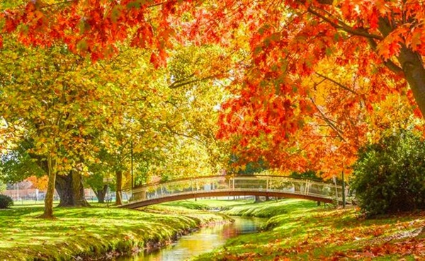 Thêm loạt ảnh Before/After chứng minh sự tàn khốc của đại hoạ cháy rừng nước Úc: Khắp nơi ngập trong khói, địa điểm du lịch bị huỷ hoại hàng loạt-11