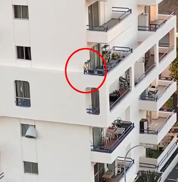 Mẹ mải tắm, hàng xóm thót tim vì bé gái trèo cửa sổ, đùa nghịch trên gờ tường cao 12m-2