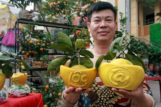 Bưởi Diễn hình thỏi vàng in chữ Tài - Lộc giá 1,5 triệu/cặp chơi Tết-2