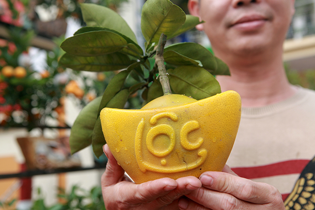 Bưởi Diễn hình thỏi vàng in chữ Tài - Lộc giá 1,5 triệu/cặp chơi Tết-12