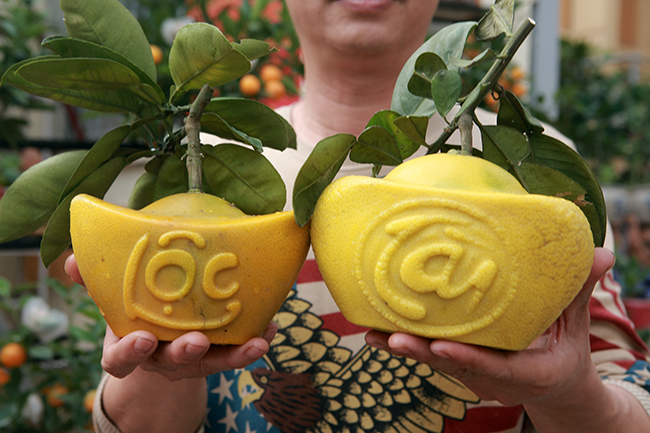 Bưởi Diễn hình thỏi vàng in chữ Tài - Lộc giá 1,5 triệu/cặp chơi Tết-13