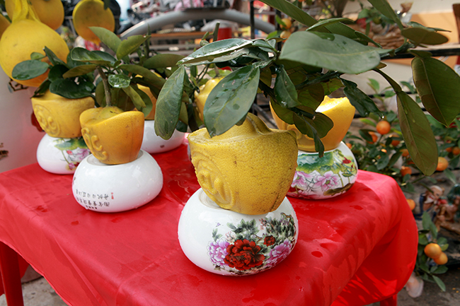 Bưởi Diễn hình thỏi vàng in chữ Tài - Lộc giá 1,5 triệu/cặp chơi Tết-3