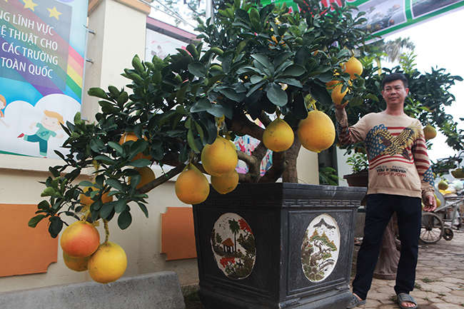 Bưởi Diễn hình thỏi vàng in chữ Tài - Lộc giá 1,5 triệu/cặp chơi Tết-8