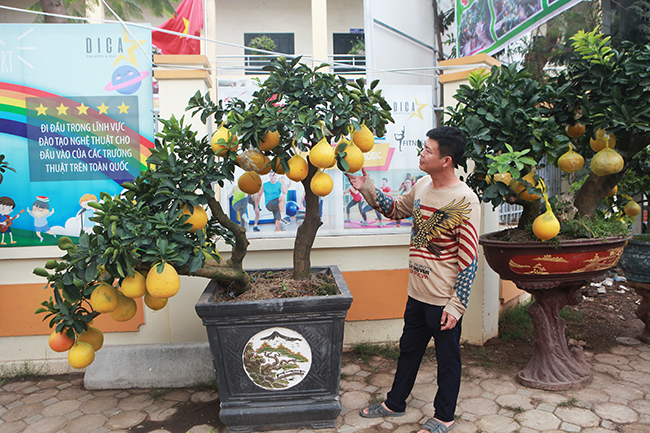 Bưởi Diễn hình thỏi vàng in chữ Tài - Lộc giá 1,5 triệu/cặp chơi Tết-9