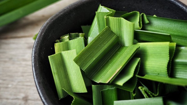 Tận dụng những vật có trong bếp, đuổi côn trùng khó chịu mà không tốn một đồng-4