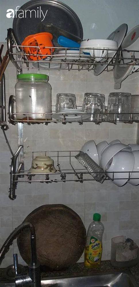 Ruồi, muỗi bủa vây nhà dân ở làng quê nghi vấn do bãi rác không xử lý đúng quy trình-3