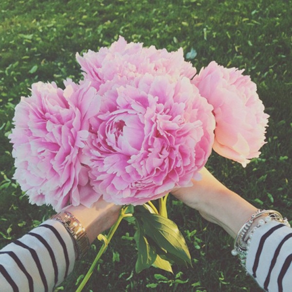 3 cung hoàng đạo nổi tiếng thiện lương, năm 2020 chắc chắn được thần tài hộ mệnh, tiền kiếm vô số-3