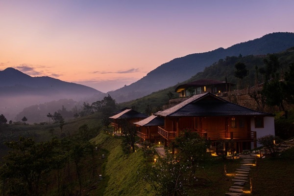 Sắc hoa nhuộm hồng núi rừng Tây Bắc dịp cuối đông-7