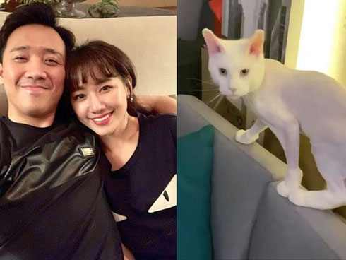 Trấn Thành hát tra tấn Lê Giang bất chấp, đến Hari cũng bó tay-1