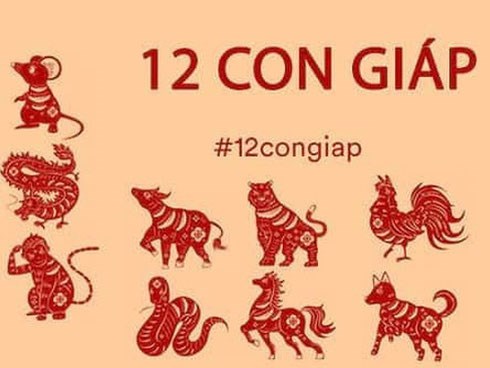 5 con giáp nam có cơ hội thăng chức, tăng lương nhất trong năm 2020