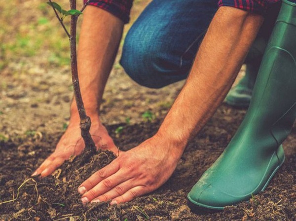 Bạn sẽ không vứt bã trà túi lọc sau khi phát hiện những công dụng hữu ích này-6