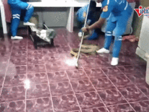 Bắt rắn hổ mang chúa trốn trong động cơ ôtô-1