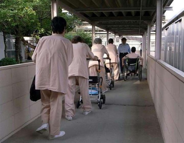 Vào tù dưỡng già: Lối thoát cực đoan của những người phụ nữ cô độc và hệ quả nghiêm trọng đè nặng lên xã hội Nhật Bản-8