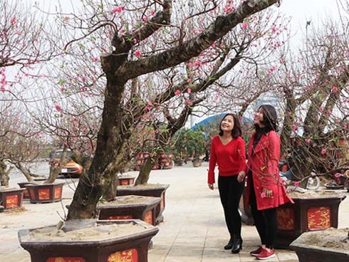 Thời tiết Tết nguyên đán Canh Tý 2020: Miền Bắc có nơi rét đậm