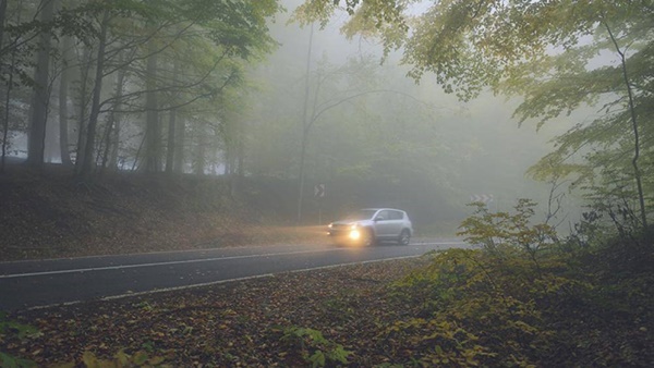 Những điều sống còn cần biết khi lái xe gặp phải sương mù-3